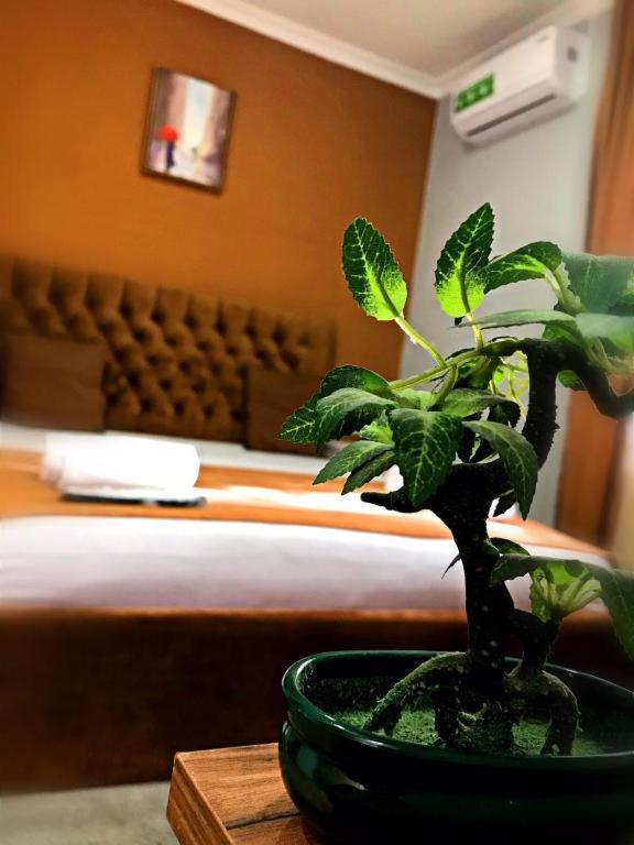 Geo Hotel Τυφλίδα Εξωτερικό φωτογραφία